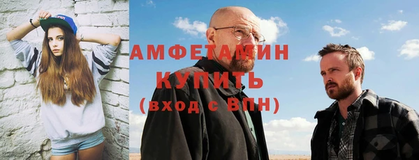сатива Беломорск