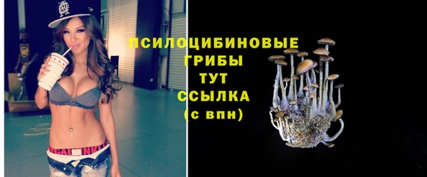 экстази Богородск