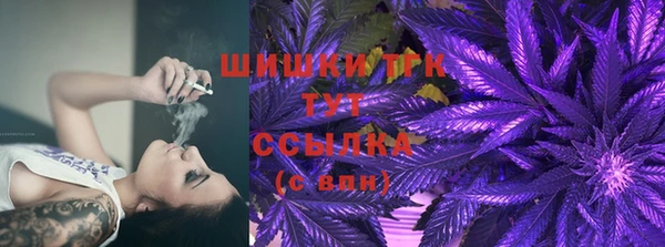 эйфоретик Белокуриха