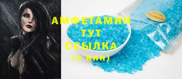 сатива Беломорск