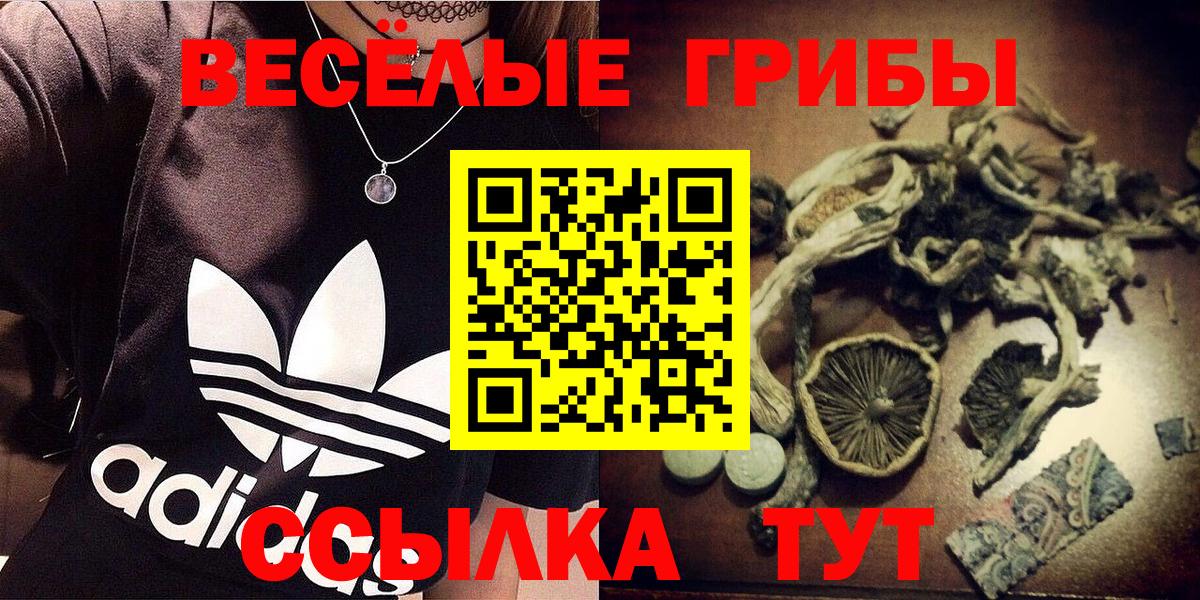 Галлюциногенные грибы мицелий  Вход с VPN  Великий Устюг  Галлюциногенные грибы Psilocybe 