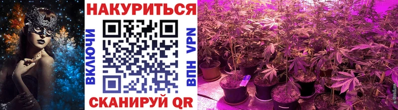 продажа наркотиков  Великий Устюг  Каннабис Ganja 